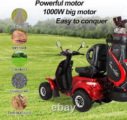 4 Wheels Electric Mobility Scooter 1000W 60V 20AH Motor Wheelchair for Seniors