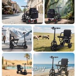 Four Wheeled Foldable Storage Mobility Scooter, 8AH 300W Power, Cruise Control