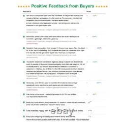 Lightweight 38Lb Foldable Electric Wheelchair Intelligent 300lbs All Terrain FDA