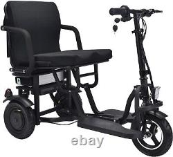 Tricycle Électrique Pliable Mobilité 36v 300w Double Moteur Lithium Noir, 39x20x33 Pouces